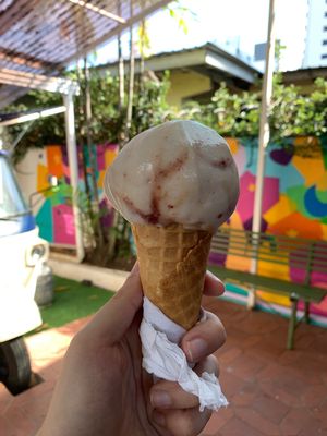 Vegan at Heladeria Keene's in Panama City