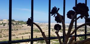  at Coogi's Restaurant in Mdina