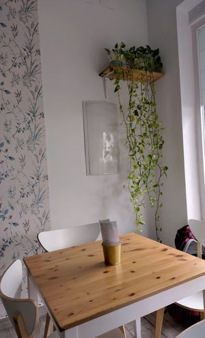 Interior at Verdetariano in Sevilla