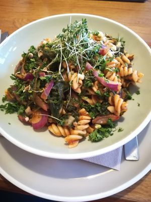 Fusilli with spinach and tomato sauce at Hier & Jetzt in Soest