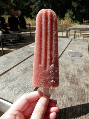 Strawberry and banana vegan ice lolly at The Garden Cafe  in Cambridge