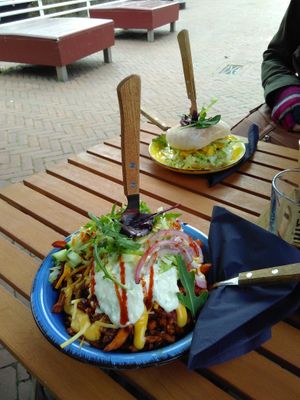 Kapsalon, and curry kip sandwich at Dr.Plant in Leeuwarden