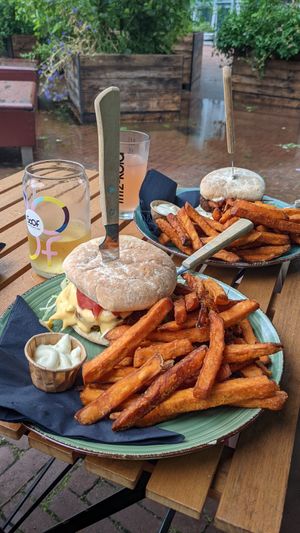  at Dr.Plant in Leeuwarden