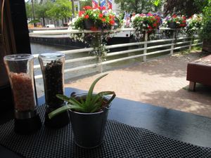  at Dr.Plant in Leeuwarden