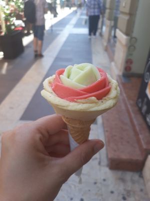 Many lovely vegan options available at Gelarto Rosa - Szent István in Budapest