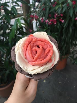   at Gelarto Rosa - Szent István in Budapest