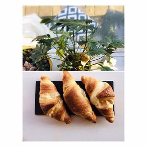 Vegan croissants  at OKO - Cultural Melting Point in Amsterdam