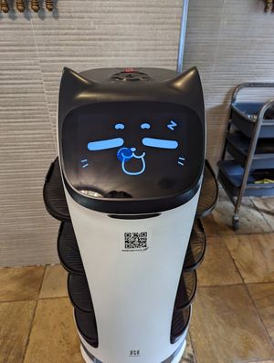  at Spirit of Punjab in Halls Gap