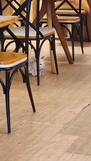  at Quan Am in Ho Chi Minh City