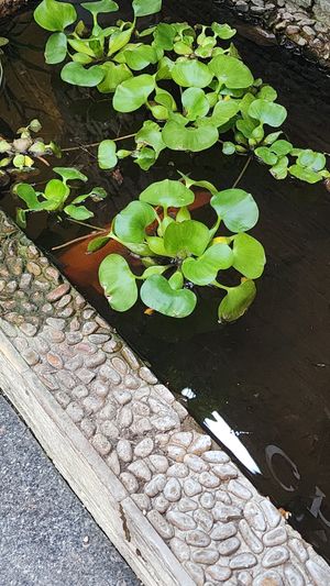  at Quan Am in Ho Chi Minh City