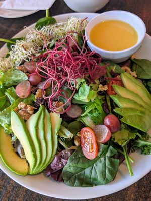 Synergy salad at Something Vegan in Toluca Lake
