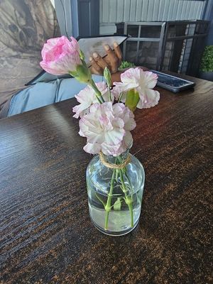  at Something Vegan in Toluca Lake