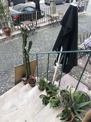 Cute location   at My Mother's Daughters  in Lisbon
