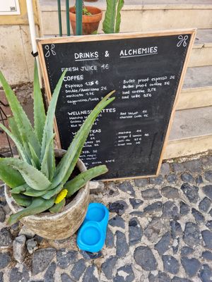  at My Mother's Daughters  in Lisbon