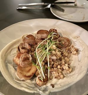 Trumpet  at Leaf in Haddonfield