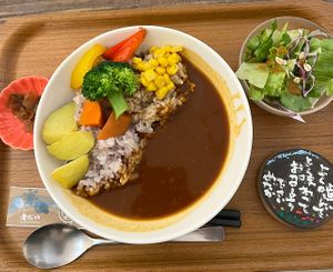 Curry rice and veggies #Veganuary at Medaka Natural Kitchen  in Osaka