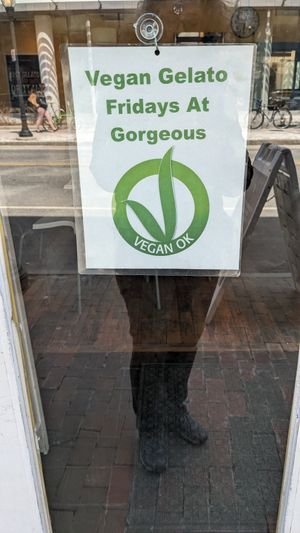  at Gorgeous Gelato in Portland