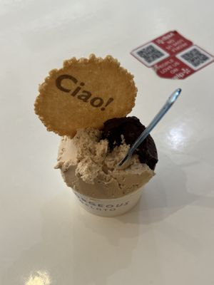 Vegan dark chocolate and hazelnut   at Gorgeous Gelato in Portland