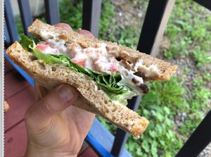 Tempeh, lettuce, and tomato sandwich at Karma Road Organic Cafe in New Paltz