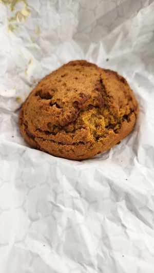 Sweet Potato Biscuit at Karma Road Organic Cafe in New Paltz