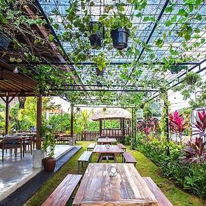 Outdoors at In The Raw - Beach Garden  in Canggu