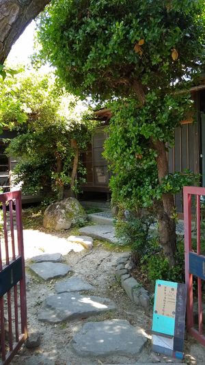 May 2021 at Cafe 101 in Teshima