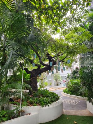  at Away Chiang Mai Thapae Resort in Chiang Mai