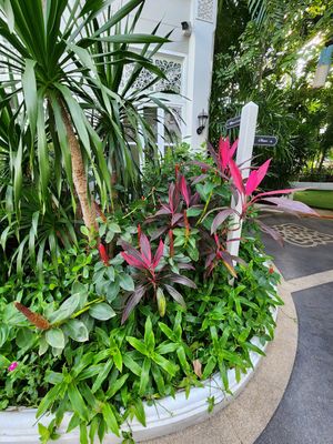  at Away Chiang Mai Thapae Resort in Chiang Mai