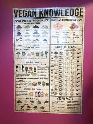   at Vegan International Co in Tampa