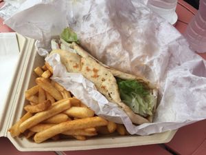 The gyro with fries   at Vegan International Co in Tampa