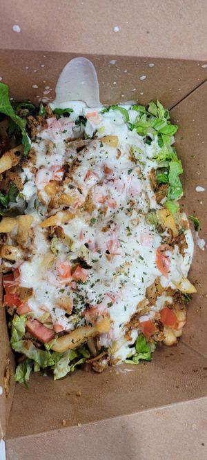 Gyro fries 🤤 at Vegan International Co in Tampa