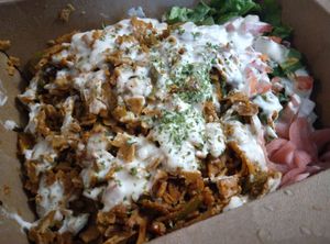 Gyro platter at Vegan International Co in Tampa