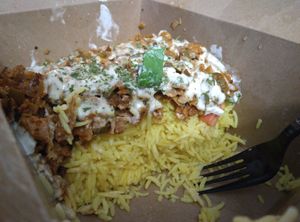 Gyro platter at Vegan International Co in Tampa