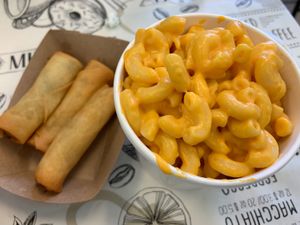 Spring rolls and mac and cheese at Vegan International Co in Tampa
