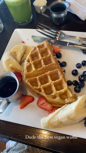 BEST WAFFLES at Wild Rabbit Bistro in Ormond Beach