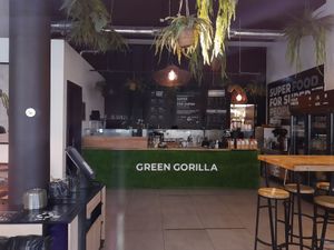 Interior at Green Gorilla Café - Rhône in Geneva