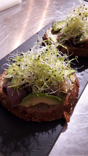 Tostas de Humus con aguacate y brotes de cebollino at Amaranta Biobar in Valencia