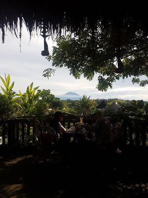 View at Yellow Flower Cafe in Ubud