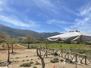 View towards the mountains - Taverna Kalyva, Potamos Beach, Crete, Greece  at Taverna Kalyva in Crete