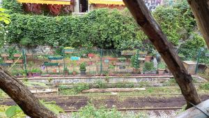 view at La Recyclerie in Paris