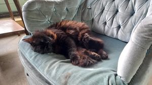 so cute at La Recyclerie in Paris