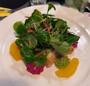   at Indigo Elephant in Basel