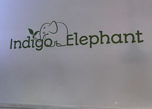   at Indigo Elephant in Basel