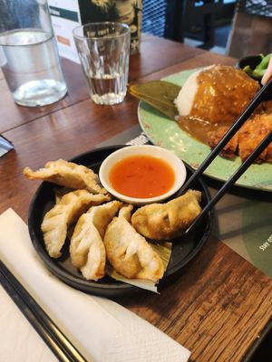Gyozas at Banana Tree in Oxford