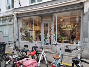 Front - slall step at entrance at Sanseveria Bagelsalon in Bruges