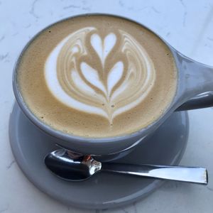 Oat Milk Latte - they don't have soy milk : ( at Parakeet Cafe in La Jolla