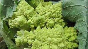 Organic&fresh vegetables at Bio Thomar! at Bio Thomar in Tomar