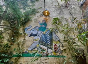  at Mosquito Coast in Ghent