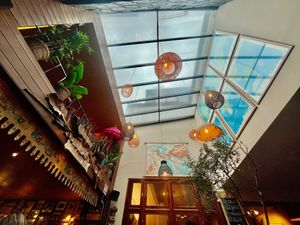  at Mosquito Coast in Ghent