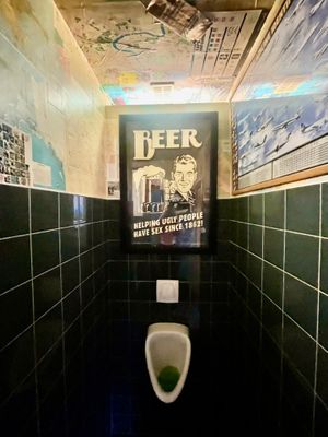  at Mosquito Coast in Ghent